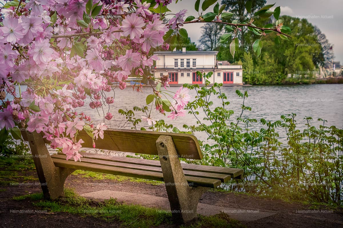 Hamburg Fotos Alster - ALS-00028-Bootshaus-Aussenalster Hamburg Fotos Alster - ALS-00028-Bootshaus-Aussenalster