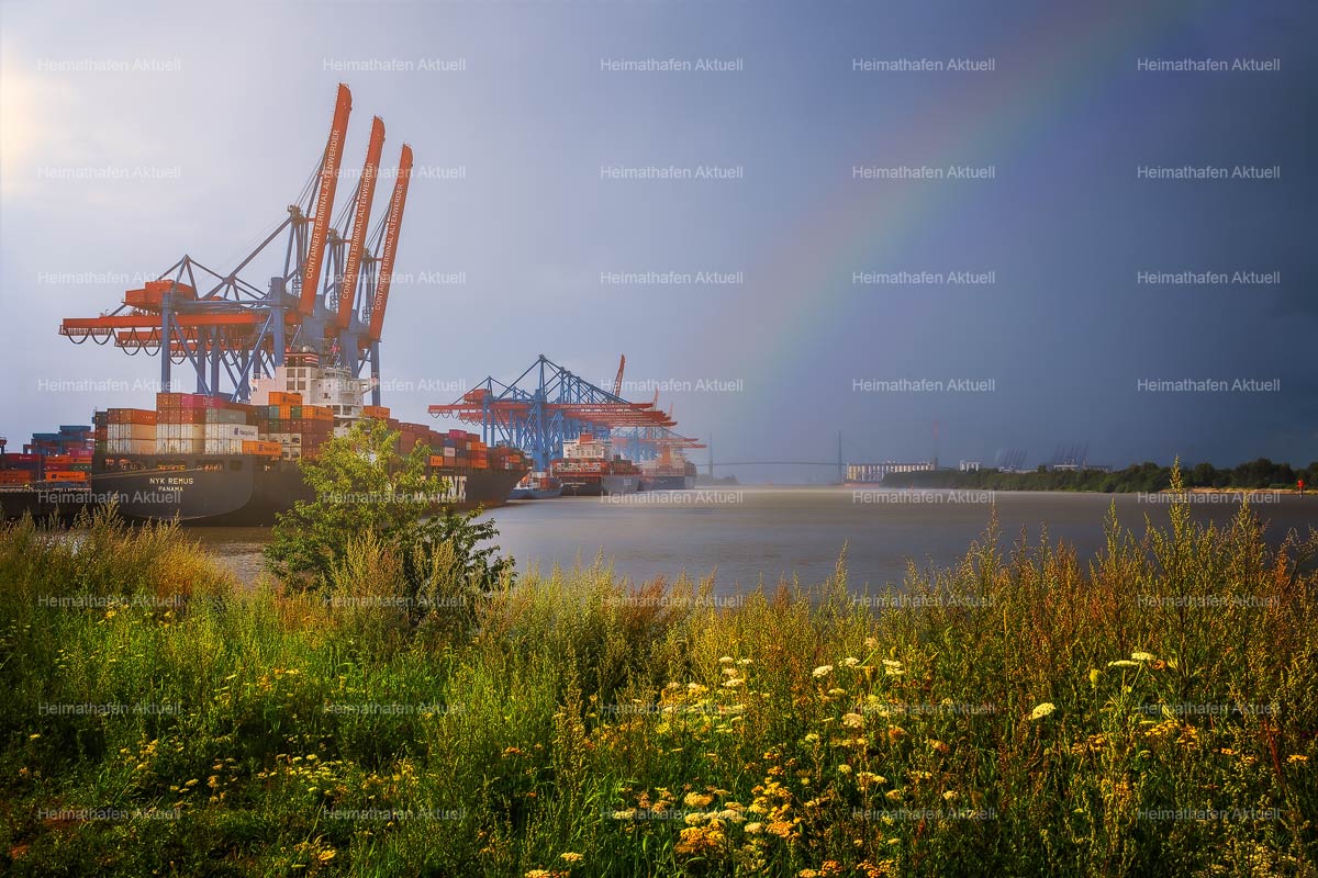 Hamburg-Foto-HAF-00151-Altenwerder-Regenbogen-Sommer Hamburg-Foto-HAF-00151-Altenwerder-Regenbogen-Sommer