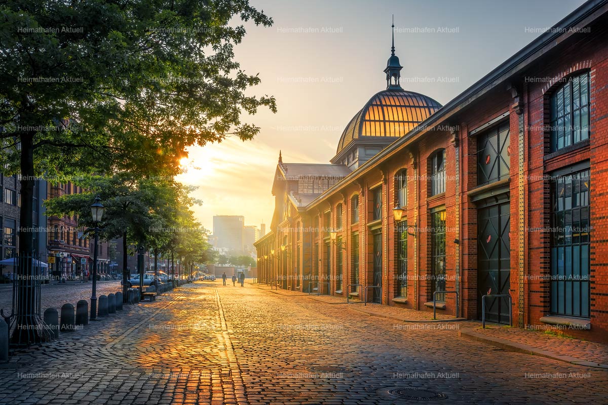 Hamburg-Foto-HAF-00192-Fischauktionshalle-Sonnenaufgang Hamburg-Foto-HAF-00192-Fischauktionshalle-Sonnenaufgang