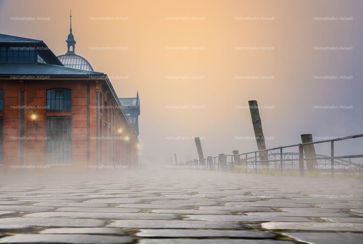 Hamburg-Foto-HAF-00103-Fischauktionshalle Nebel Sonnenaufgang Hamburg-Foto-HAF-00103-Fischauktionshalle Nebel Sonnenaufgang