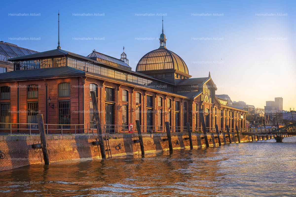 Hamburg-Foto-HAF-00194-Fischauktionshalle Sonnenaufgang Hamburg-Foto-HAF-00194-Fischauktionshalle Sonnenaufgang