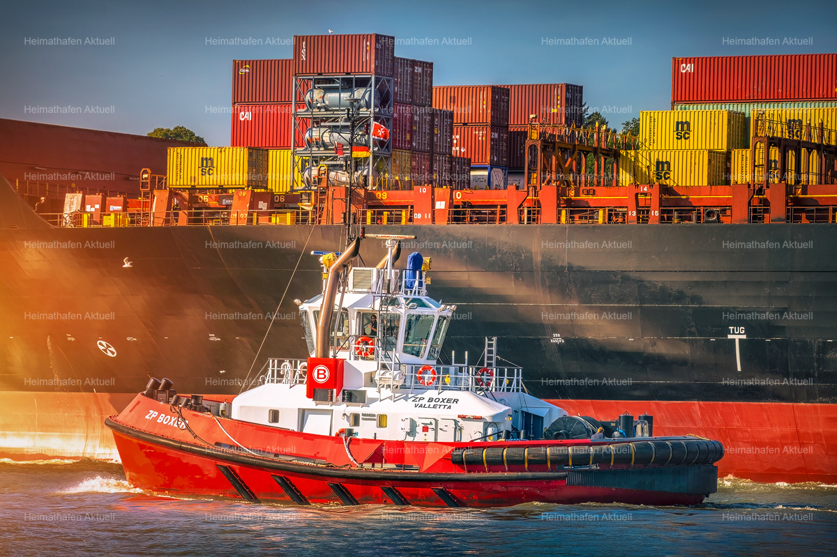 Hamburg Hafenfotos-SHL-00020--Schlepper-ZP BOXER-IX Hamburg Hafenfotos-SHL-00020--Schlepper-ZP BOXER-IX