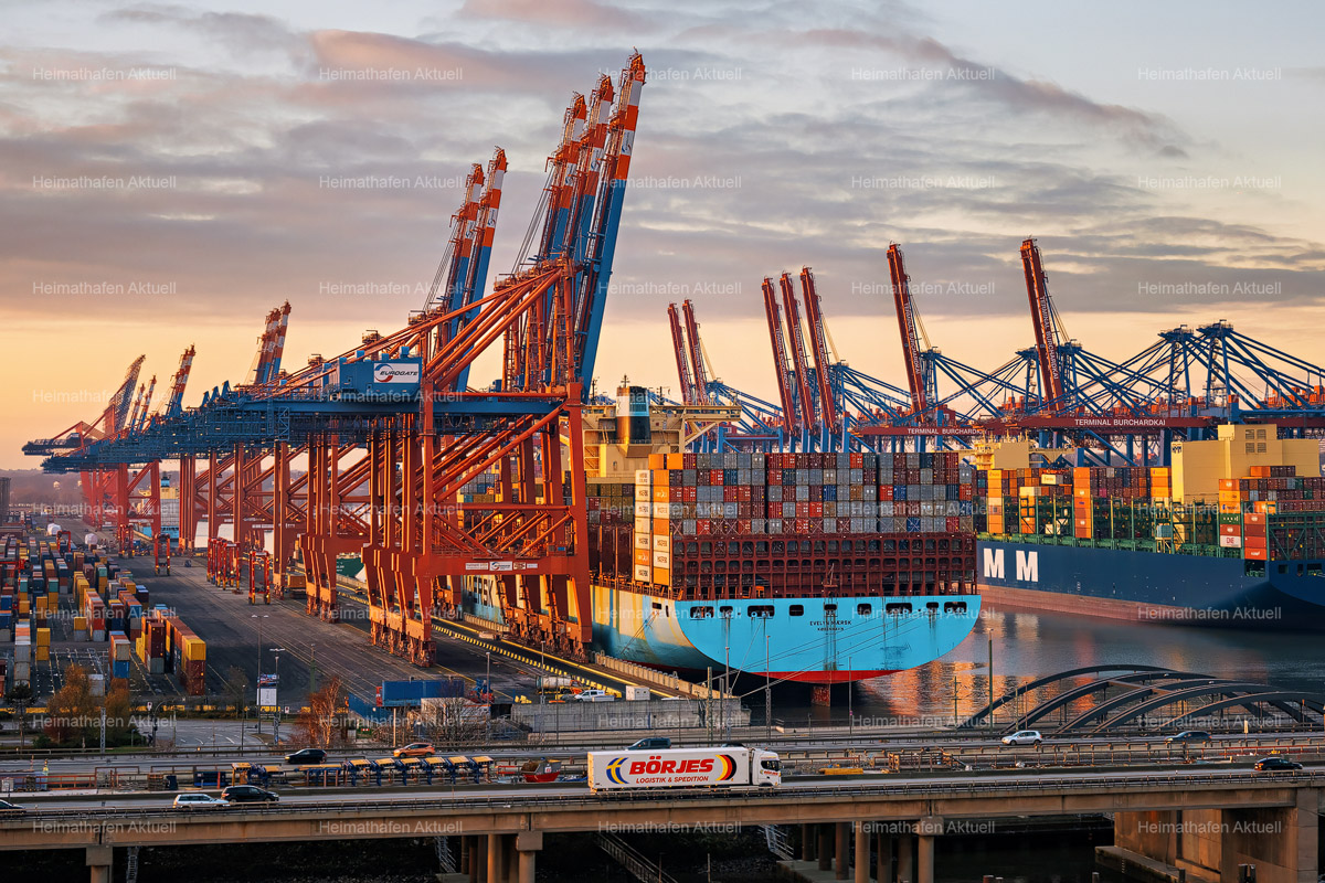 Hafen-Köhlbrandbrücke - shop Blick über Containerhafen Waltershof