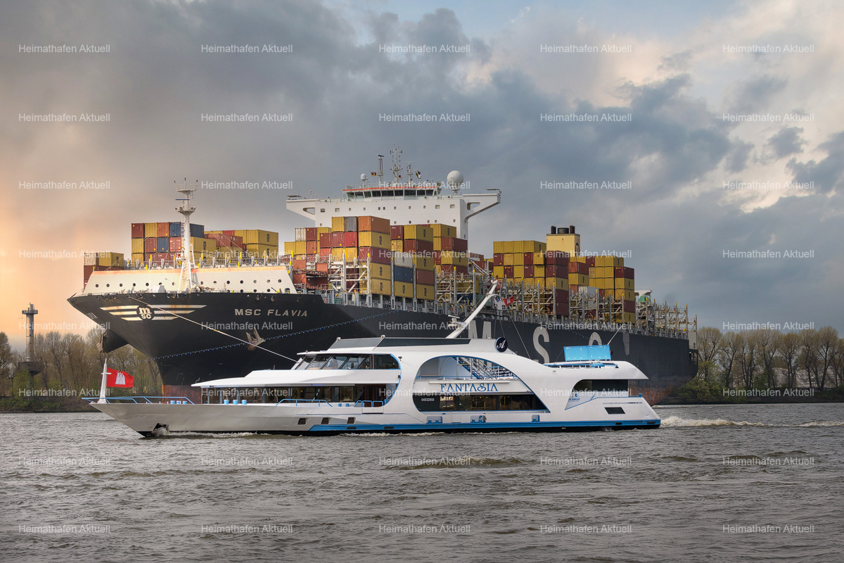 Hamburg-Hafenfotos-HAF-00223-MSC FLAVIA und FANTASIA Hamburg-Hafenfotos-HAF-00223-MSC FLAVIA und FANTASIA