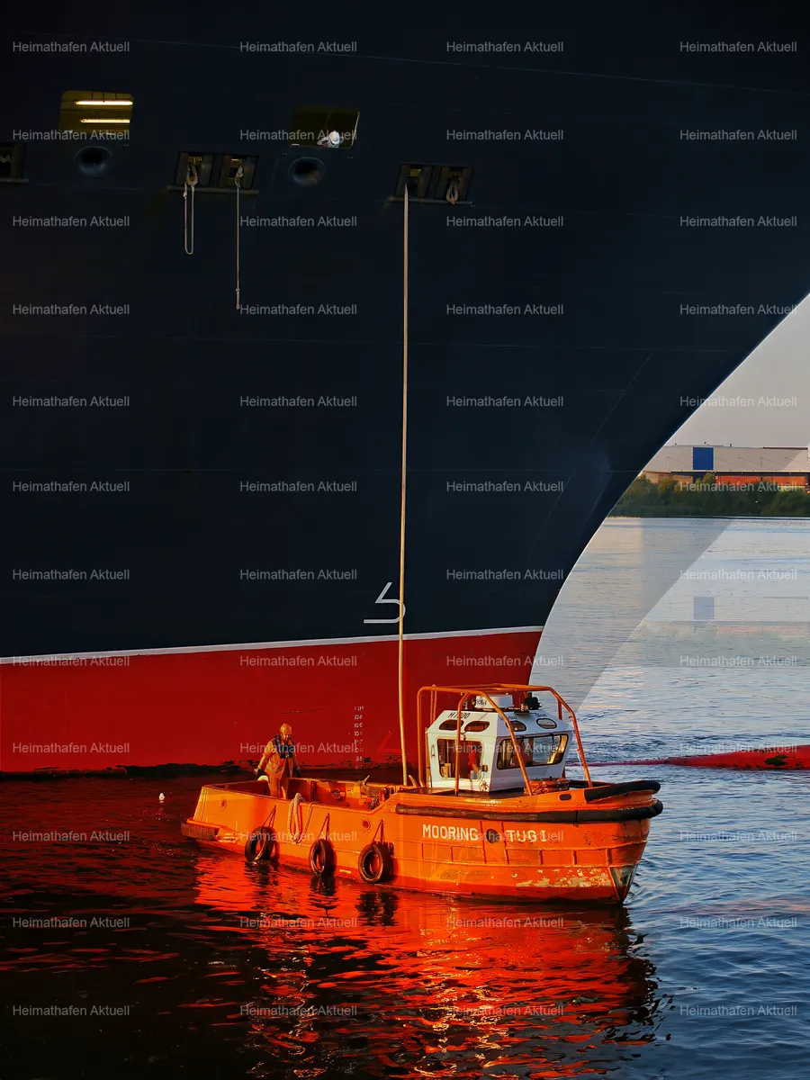 Hamburg-Foto-HAF-00121- Mooring Tug 1 an der QUEEN MARY 2 Hamburg-Foto-HAF-00121- Mooring Tug 1 an der QUEEN MARY 2